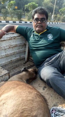 rescue of nilgai 7