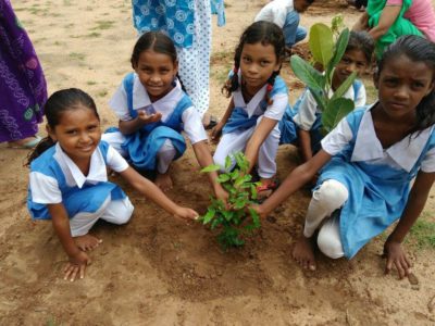 tree plantation at govt school10