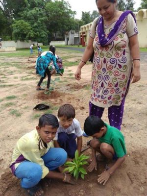 tree plantation at govt school2