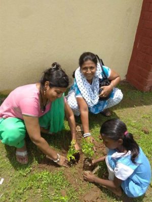 tree plantation at govt school3