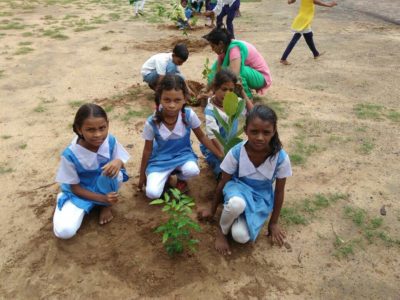 tree plantation at govt school7