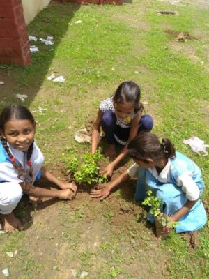 tree plantation at govt school8
