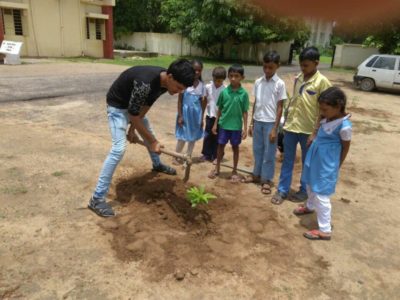 tree plantation at govt school9