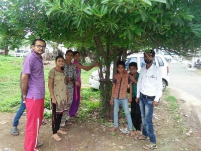 celebrating friendship day with trees